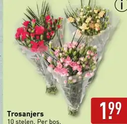 ALDI Trosanjers aanbieding