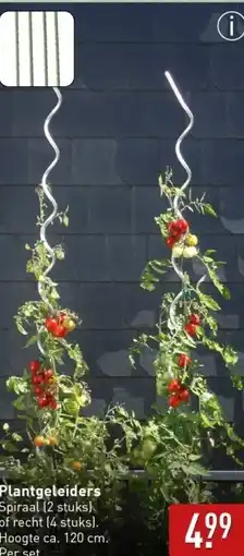 ALDI Plantgeleiders aanbieding
