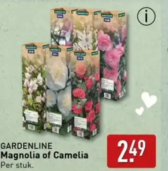 ALDI Magnolia of Camelia aanbieding