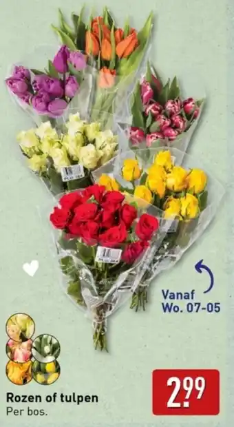 ALDI Rozen of tulpen aanbieding