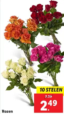 Lidl Rozen aanbieding