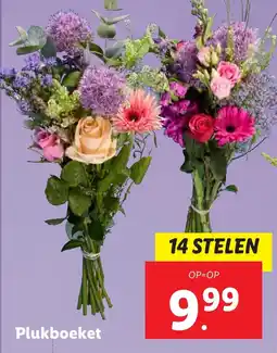 Lidl Plukboeket aanbieding