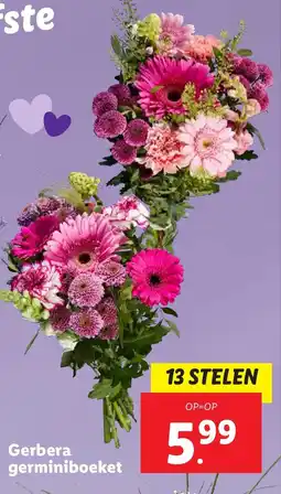 Lidl Gerbera germiniboeket aanbieding