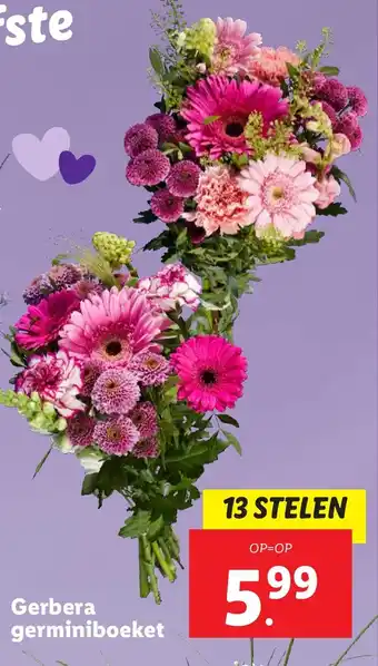 Lidl Gerbera germiniboeket aanbieding