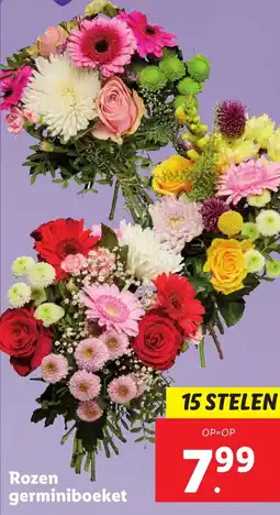 Lidl Rozen germiniboeket aanbieding