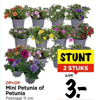 Vomar Voordeelmarkt Mini Petunia of Petunia aanbieding