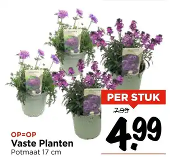 Vomar Voordeelmarkt Vaste Planten aanbieding