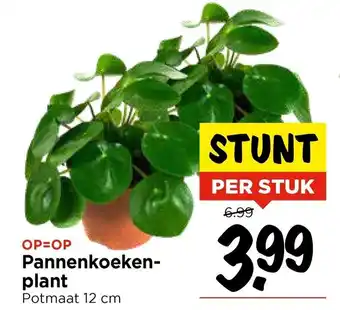 Vomar Voordeelmarkt Pannenkoeken plant aanbieding