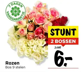 Vomar Voordeelmarkt Rozen aanbieding