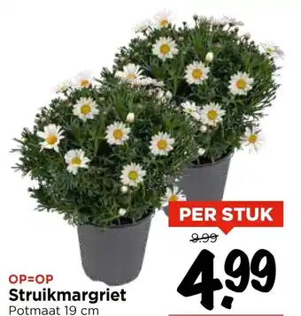 Vomar Voordeelmarkt Struikmargriet aanbieding