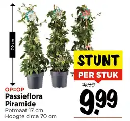 Vomar Voordeelmarkt Passieflora Piramide aanbieding