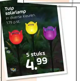 Coppelmans Tulp solarlamp aanbieding