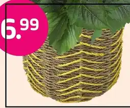 Coppelmans Gekleurde mand aanbieding