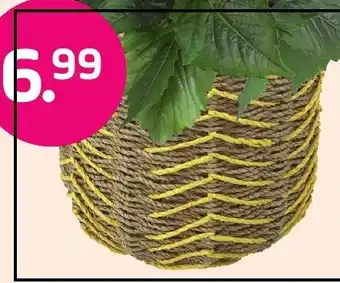 Coppelmans Gekleurde mand aanbieding
