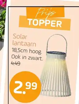 Coppelmans Solar lantaarn aanbieding