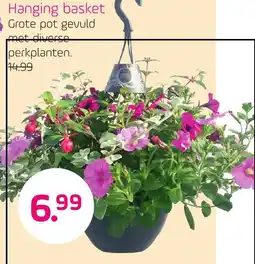Coppelmans Hanging basket aanbieding
