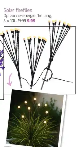 Coppelmans Solar fireflies aanbieding