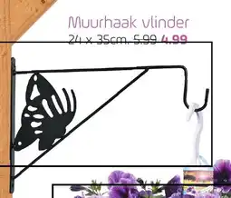 Coppelmans Muurhaak vlinder aanbieding