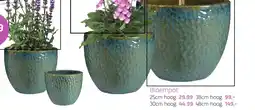 Coppelmans Bloempot aanbieding
