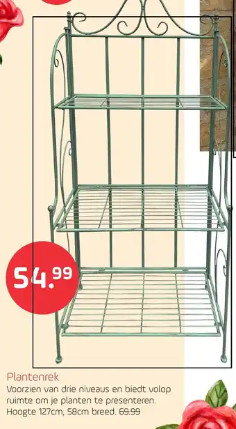 Coppelmans Plantenrek aanbieding
