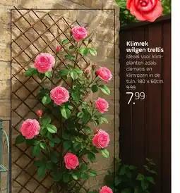 Coppelmans Klimrek wilgen trellis aanbieding
