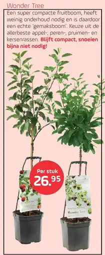 Coppelmans Wonder Tree aanbieding