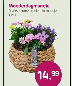 Coppelmans Moederdagmandje aanbieding