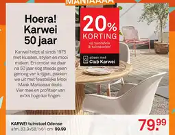 Karwei Karwei tuinstoel odense aanbieding