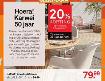 Karwei Karwei tuinstoel odense aanbieding