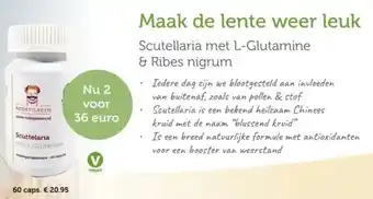 De Rode Pilaren Scutellaria met L Glutamine & Ribes nigrum aanbieding