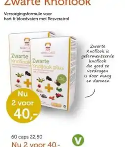 De Rode Pilaren Zwarte Knoflook aanbieding