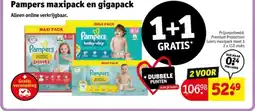 Kruidvat Pampers maxipack en gigapack aanbieding