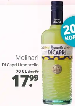 Mitra Molinari aanbieding