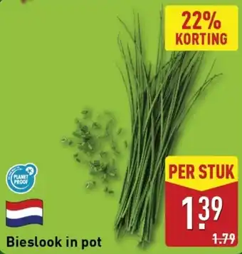 ALDI Bieslook in pot aanbieding
