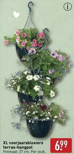 ALDI XL voorjaarsbloeiers terras-hangpot aanbieding