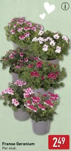 ALDI Franse Geranium aanbieding