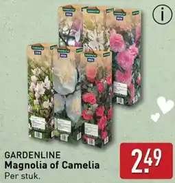 ALDI GARDENLINE Magnolia of Camelia aanbieding