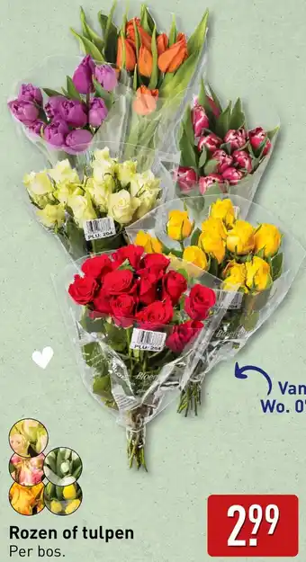 ALDI Rozen of tulpen aanbieding