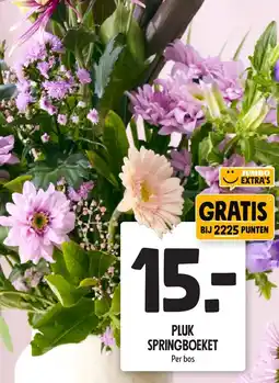 Jumbo Pluk springboeket aanbieding