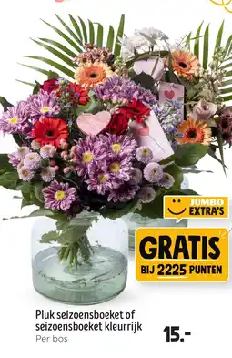 Jumbo Pluk seizoensboeket of seizoensboeket kleurrijk aanbieding