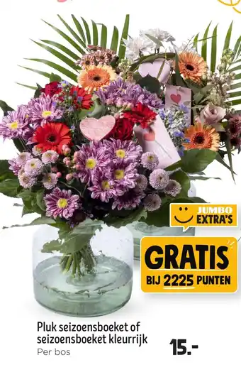 Jumbo Pluk seizoensboeket of seizoensboeket kleurrijk aanbieding