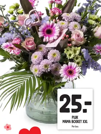 Jumbo Pluk mama boeket XXL aanbieding