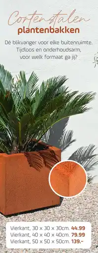 Coppelmans Corten stalen plantenbakken aanbieding