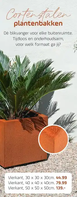 Coppelmans Corten stalen plantenbakken aanbieding