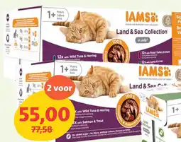 Maxi Zoo Iams kattenvoeding aanbieding