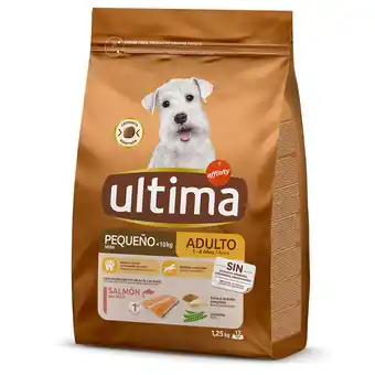 Zooplus 1,25 kg Ultima Mini Adult zalm hondenvoer droog aanbieding