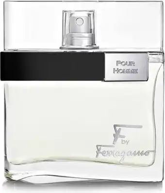 Bol.com Salvatore Ferragamo - F By Ferragamo - 100 ml - Eau de Toilette - Herenparfum aanbieding