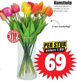 Dirk Kunsttulp aanbieding