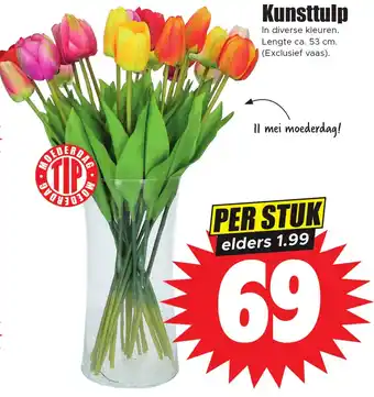 Dirk Kunsttulp aanbieding