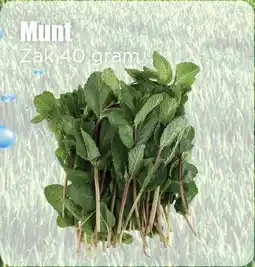 Dirk Munt aanbieding